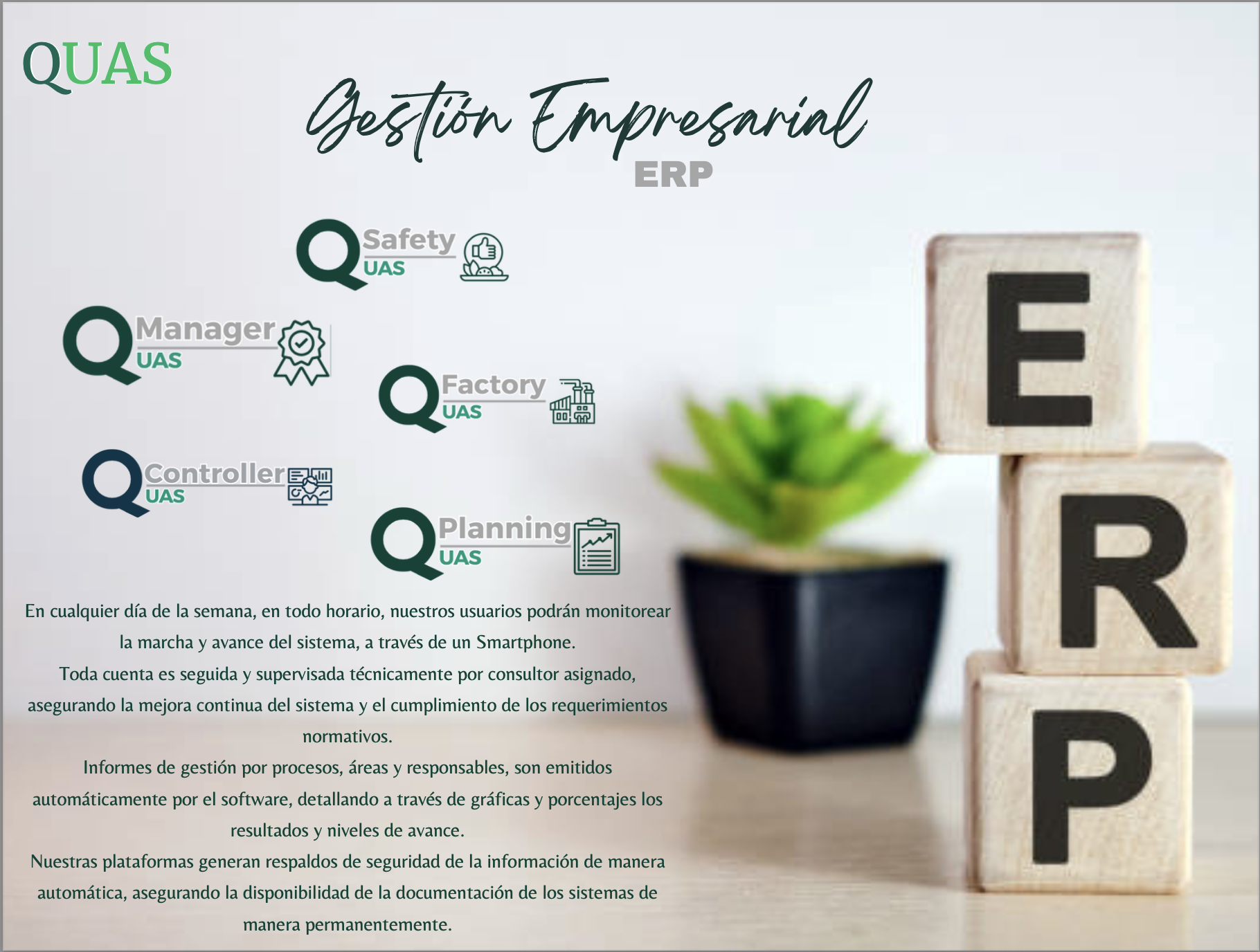 ERP Detalle